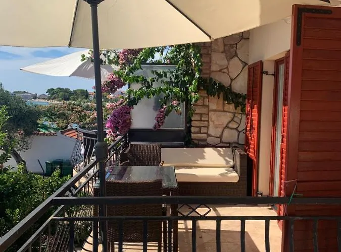 Apartman Plazs 41