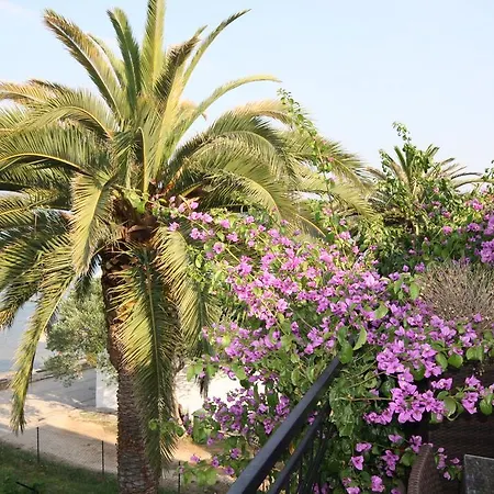 Apartament Plazs 41 Sukošan