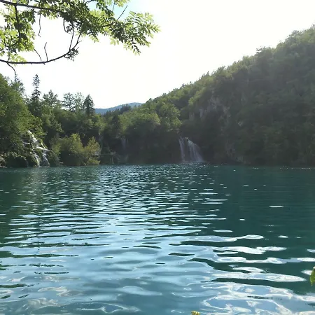 Apartament Plazs 41 *